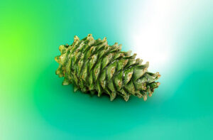 چک‌لیست امنیت سایبری شخصی شما در ۲۰۲۶